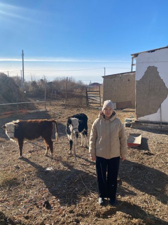 Мал шаруашылығын қолға алған ақбаян