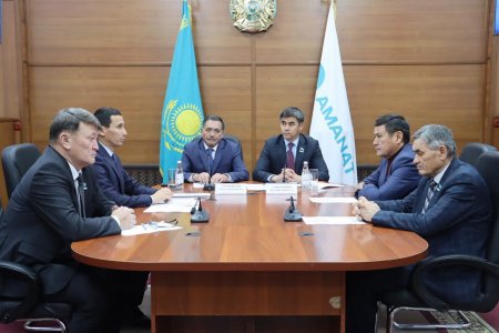 Сайлауалды бағдарламаның орындалуы партиялық бақылау комиссиясында талқыланды