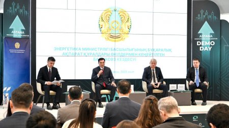 Үкімет энергетика саласын дамыту туралы: 160-қа жуық ЖЭК стансасы электр қуатын өндірудің 7%-дан астамын құрады