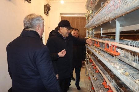 Үкімет басшысының кеңесшісі Бауылының берекелі тіршілігімен танысты