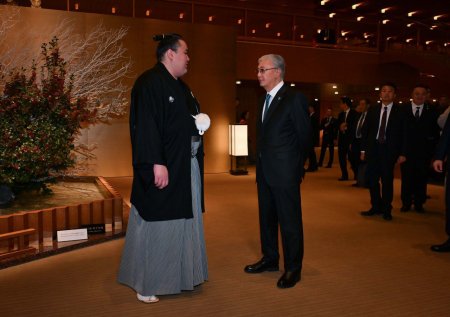 Мемлекет басшысы Токио губернаторы Юрико Коикэмен кездесу өткізді