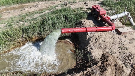 ЖІӨ-сіне 30%-ға дейін үлес қосуға мүмкіндік берді