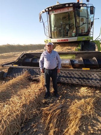 Егістікте есейген агроном