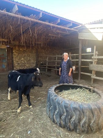 Алтын қолды сауыншылар