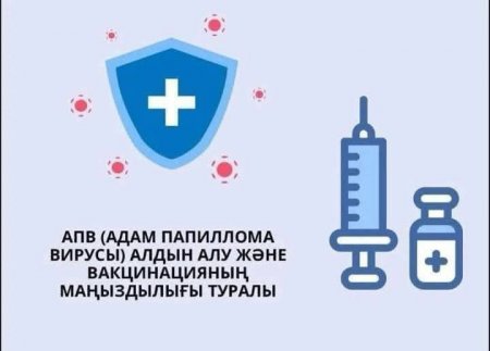 Адам папилломавирусы