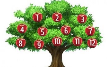 Психологиялық тест: Қай алманы үзіп алар едіңіз?