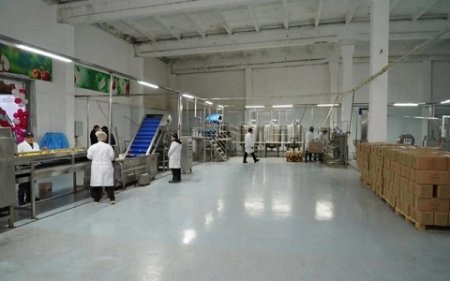 Енді Түркістан өңірінде табиғи шырын мен балалар тағамы шығарылады