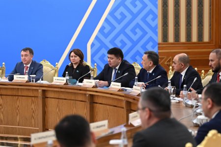 «AMANAT» партиясы Парламенттік реформа бойынша жүйелі жұмыс жүргізуге дайын