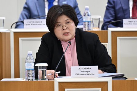 Эльвира Азимова Конституциялық реформаның басты мақсаты мен міндеттерін атады