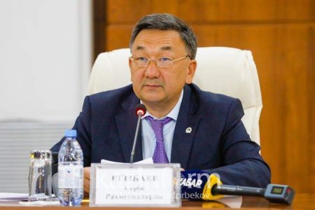 Депутат экологиялық құндылықтарды АтаЗаңда ұлттық басымдық деп бекітуді ұсынды