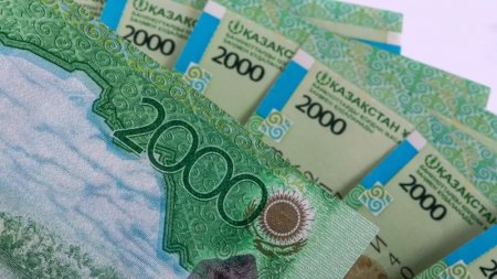 Атаулы әлеуметтік көмекті кімдер және қалай алады: Еңбек министрлігінің түсіндірмесі