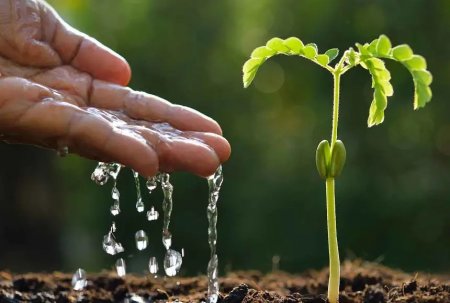 Су тапшылығы:  жаһандық жауапкершілік пен ұлттық мүдде