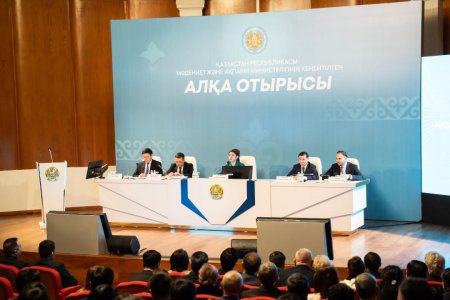 Аида Балаева мәдениет және ақпарат салаларын жаңғыртудың басым бағыттарын белгіледі