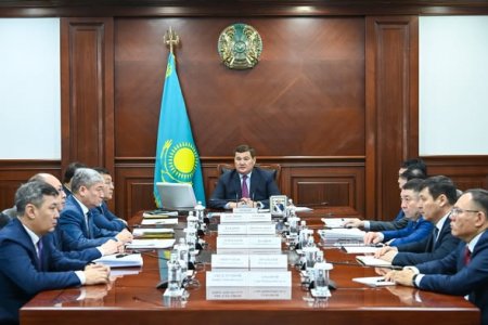 Экономиканы одан әрі әртараптандыру мәселесі қаралды