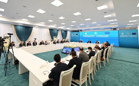 Қызылорда облысының инвестициялық әлеуеті талқыланды