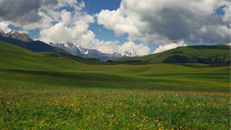 Климаттың өзгеруі: Орталық Азия елдерінің дамуына әсері