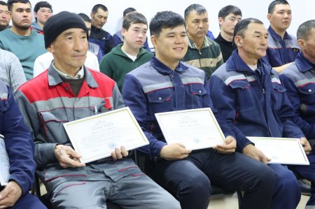 Ауданды жарықпен қамтамасыз еткен сала қызметкерлеріне аймақ басшысының алғысын жеткізді