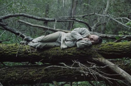 Орманда өткен бір түн