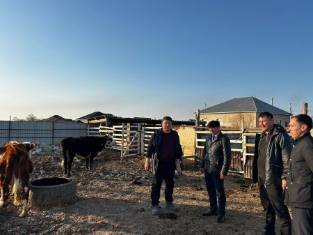 Мал басын көбейту мен асылдандыру мәселесі басты назарда