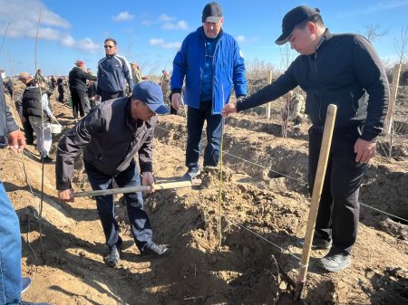 «Таза Қазақстан» экологиялық акциясы аясында сенбілік жұмыстары жүргізілді