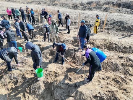 «Таза Қазақстан » экологиялық акциясы аясында 2100 түп көшет отырғызылды