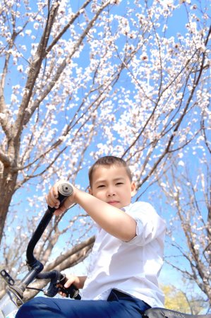 Көктем көркі  айшықты