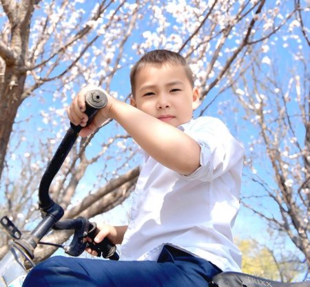 Көктем көркі  айшықты