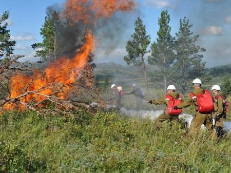 Орман мен дала өрттерінің алдын алу – ортақ міндет