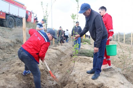 «Таза қазақстан» акциясы аясында тал егу іс-шарасы өтті