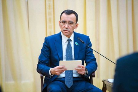 Елімізде вице-президент Құрылтай жасақталған соң сайланады