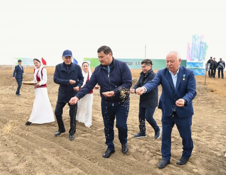 Сыр күріші – ел ырысы:  егін алқабына алғашқы дән себілді