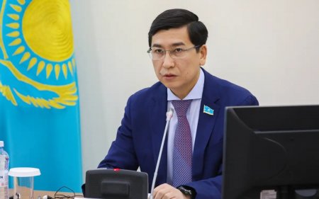 ЖИ дәуірінде гуманитарлық бағытты күшейтуі керек — Аймағамбетов