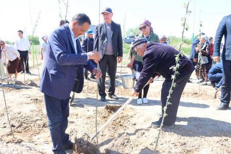 «Таза Қазақстан» акциясы аясында тал егу іс-шарасы өтті