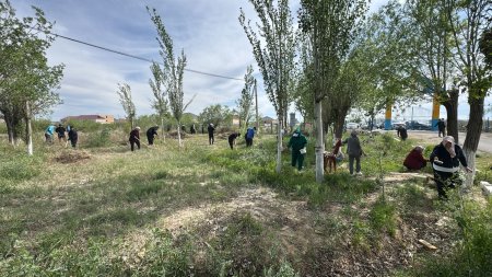 «Таза Қазақстан» экологиялық акциясы аясында сенбілік жұмыстары өтті