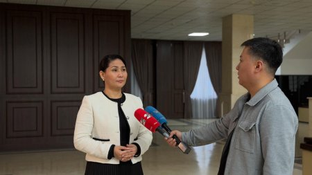 Арал ауданында түйе сүтінен құрғақ ұнтақ өндіру жобасы жүзеге асуда