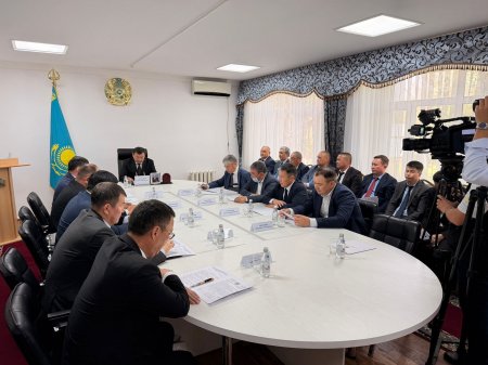 Шегіртке зиянкестеріне қарсы күрес жұмыстарының дайындық барысы қаралды