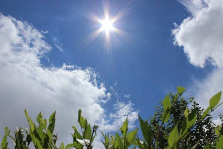Қазақстанда 32 градусқа дейін күн ысиды