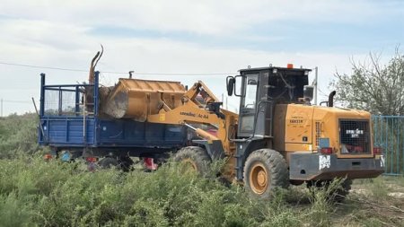 «Таза Қазақстан» экологиялық акциясы аясында сенбілік жұмыстары жүргізілді