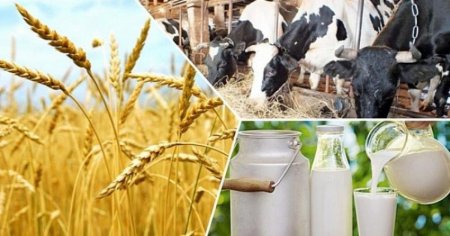 Мал шаруашылығы қызметкерлері күні – аграршылардың елдің азық-түлік қауіпсіздігіне қосқан үлесін мойындау