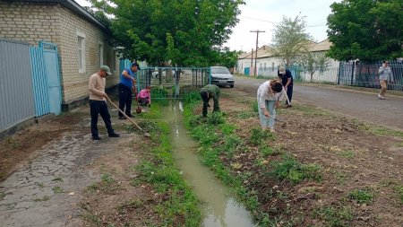 «Таза Қазақстан» экологиялық акциясы аясында сенбілік жұмыстары жүргізілді