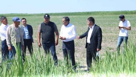 Егіс алқаптарын аралады