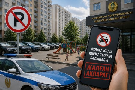 Аулаға көлік қоюға тыйым салына ма?