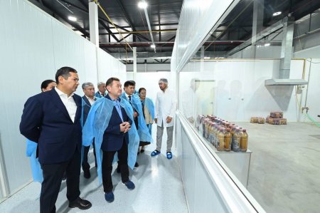Шағын өнеркәсіпті дамыту – аймақ экономикасының маңызды бағыты
