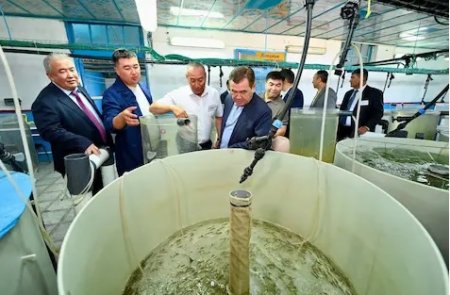 Аймақ басшысы «Қамыстыбас» балық питомнигінің жұмысымен танысты
