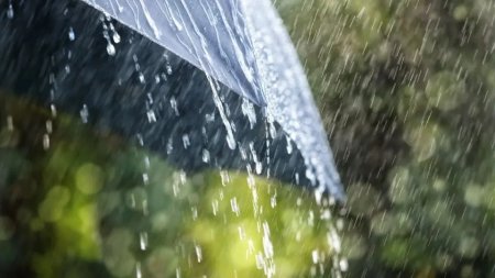 Еліміздің оңтүстігінде күн 45 градусқа дейін ысиды