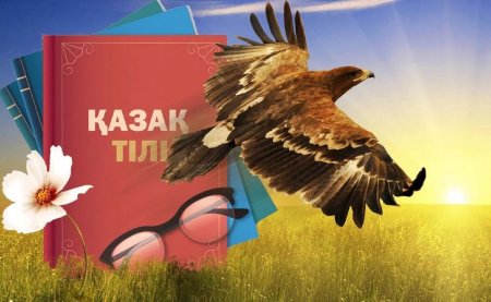 Ана тілінің мәртебесі төмендемесін десек...