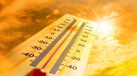 Қазақстанда 48 градусқа дейін күн ысиды