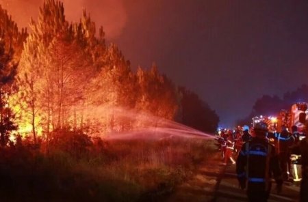 Франциядағы орман өрті: 119 мың гектар орман күлге айналды