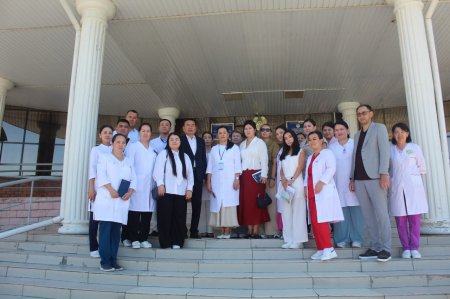 Аудан медицинасының дамуына оң баға берілді