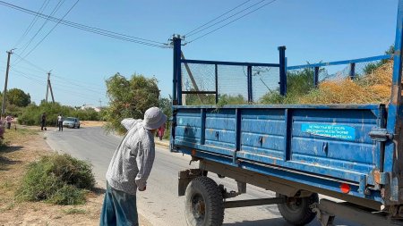 «Таза Қазақстан» экологиялық акциясы аясында сенбілік жұмыстары жүргізілді